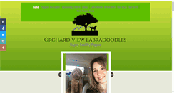 Desktop Screenshot of orchardviewlabradoodles.com