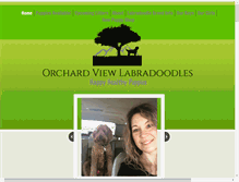 Tablet Screenshot of orchardviewlabradoodles.com